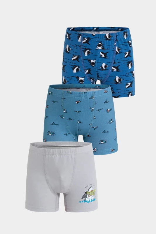 BERRAK 5070 ERKEK ÇOCUK 3'LÜ BOXER SETİ