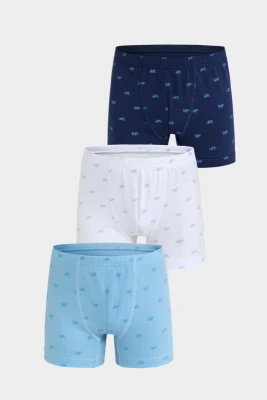 BERRAK 5078 ERKEK ÇOCUK 3'LÜ BOXER